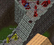 Ultima Online Köprü Savaşı